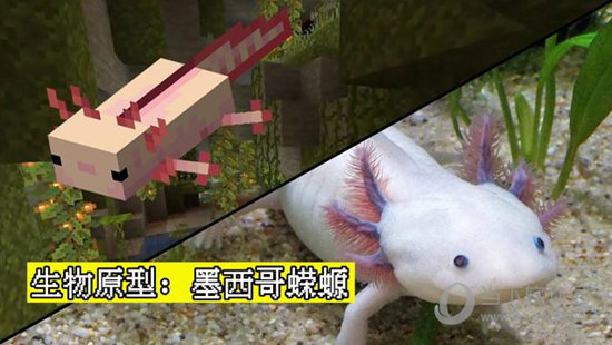 我的世界1.17.1蝾螈