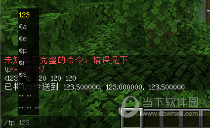 我的世界1.19TP