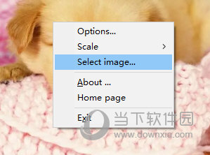 Photo on Desktop-7导入图片