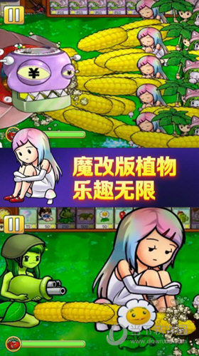 植物大战僵尸娘化版下载