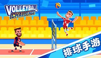 安卓排球游戏