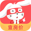 兔博士