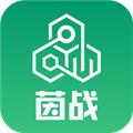茵战