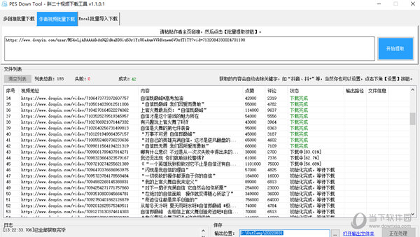 胖二十视频下载工具