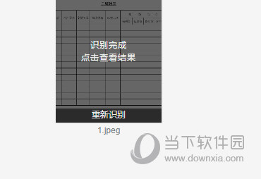 白描查看结果