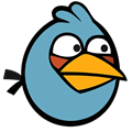 小鸟TV电视直播APP V6.2.1 安卓版