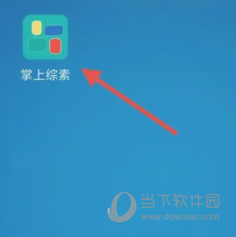 掌上综素下载安装最新版本