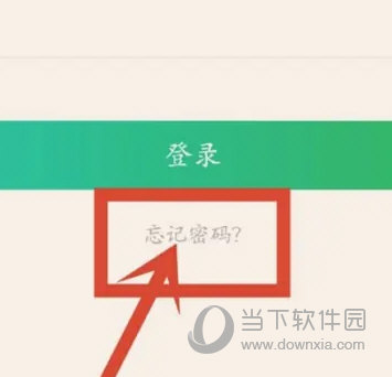 掌上综素下载安装最新版本