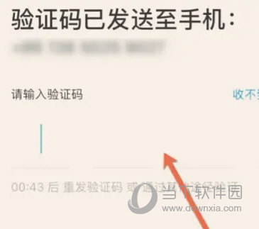 掌上综素下载安装最新版本