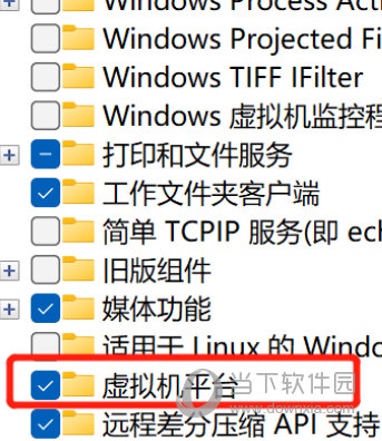 Win11运行VMware蓝屏怎么解决