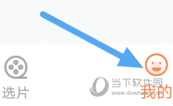 茶杯狐