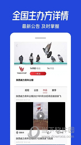 青鸽网APP