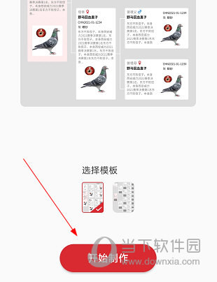 青鸽网APP