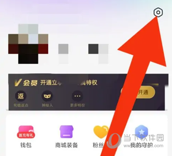 龙猫交友