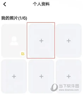龙猫交友
