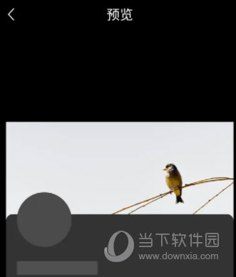 今日头条极速版