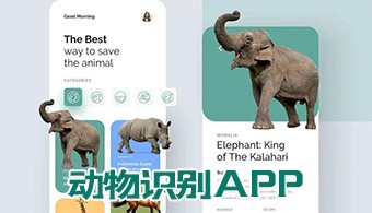 动物识别APP