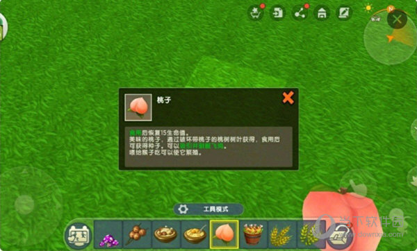 迷你世界桃子