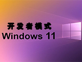 win11如何打开开发者模式 启动方法教程