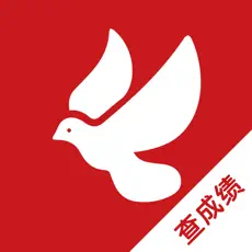 赛鸽头条 V2.5.5 iPhone版