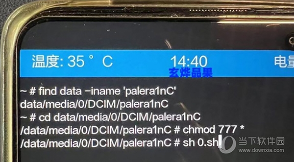 palera1nC