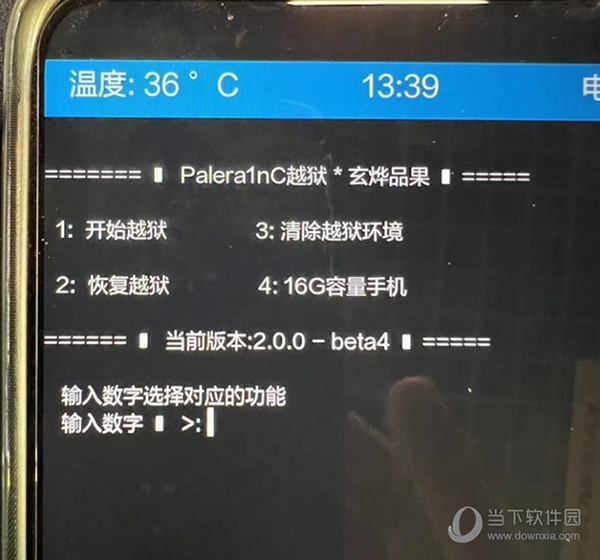 palera1nC