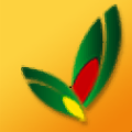 易达殡仪馆管理软件 V32.1.7 官方版