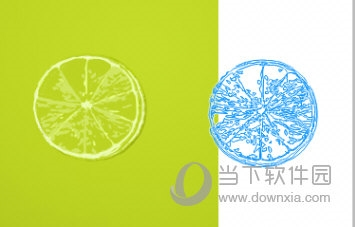 CorelDRAW位图转换矢量图教程3