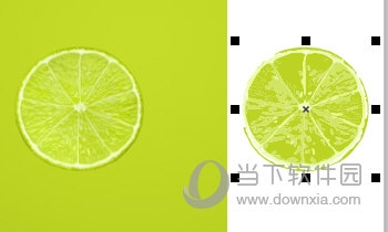 CorelDRAW位图转换矢量图教程4