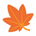 枫林网手机版app V1.0.3 安卓版