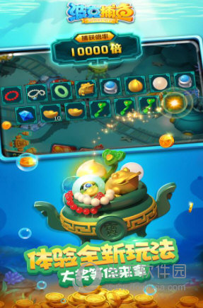 BOB官方体育APP截图3