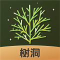 树洞倾诉 V2.0.2 安卓版