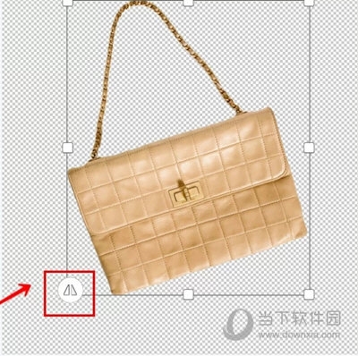 可以将主体放大、缩小或翻转