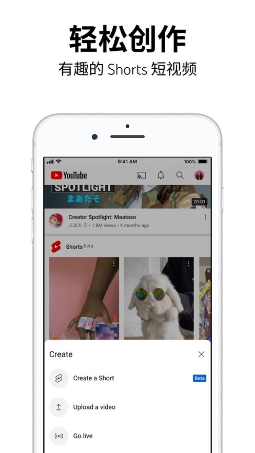 YouTube(油管) V18.48.37 安卓最新版截图5