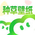种草壁纸 V1.0.2 安卓版