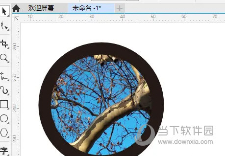CDR2022官方免费下载