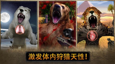 中国装修交易网安卓版