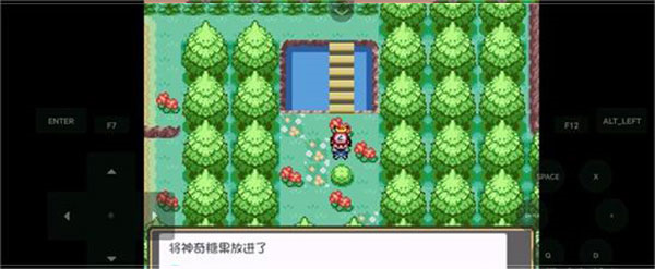 口袋妖怪燃之智内置修改器6