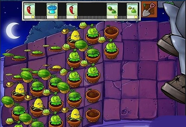 植物大战僵尸β版36