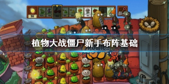 植物大战僵尸原版6