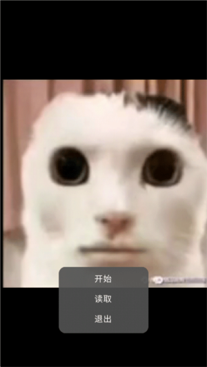 中国模特人台网安卓版