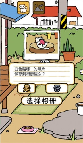 威尼斯游戏网站截图4