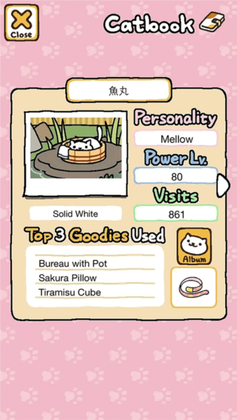 猫咪后院