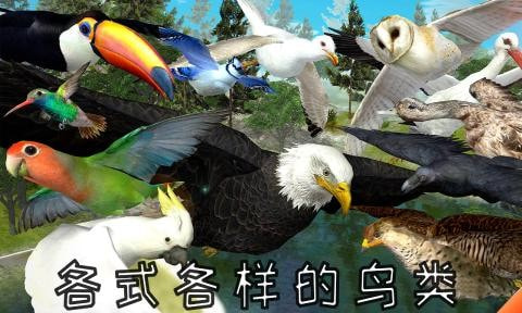 慧视助手安卓版