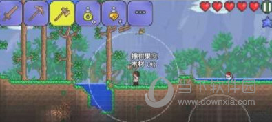 泰拉瑞亚52