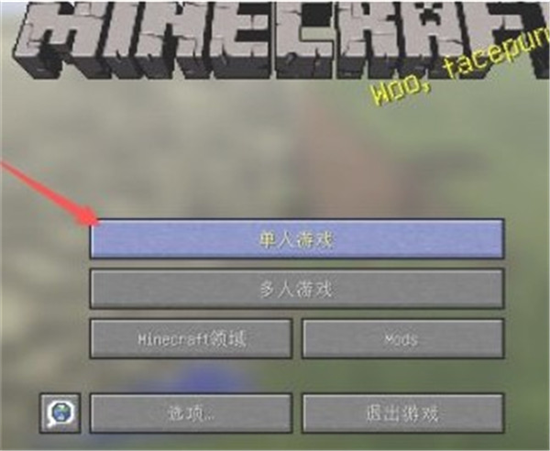 我的世界1.17.1电脑版下载