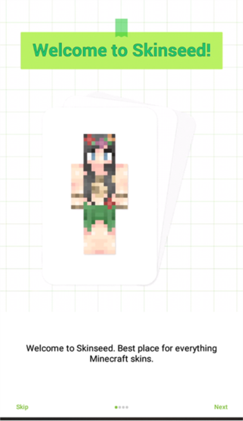 我的世界skinseed中文版4