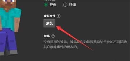 我的世界skinseed中文版14