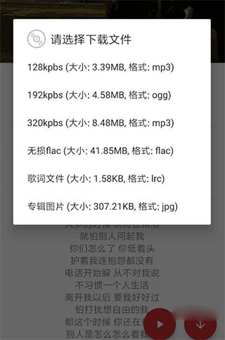 qmd官方版3