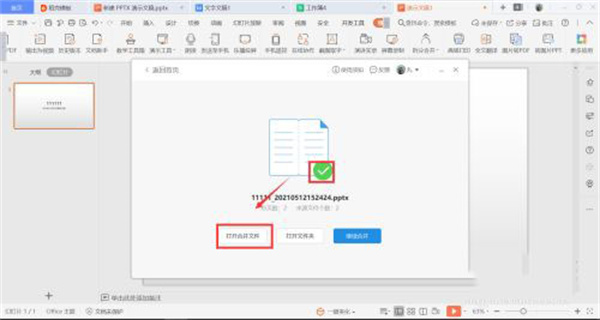 WPS Office2024专业增强版